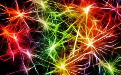 ¿Qué es la Reserva Cognitiva y cómo influye en el envejecimiento?