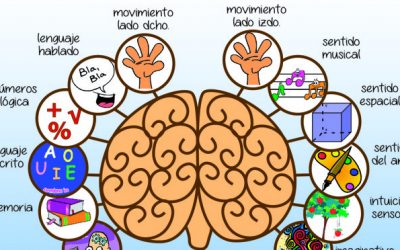 FUNCIONES COGNITIVAS