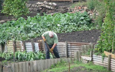 Actividades prácticas para realizar Estimulación Cognitiva con afectados de Alzheimer y otras Demencias.